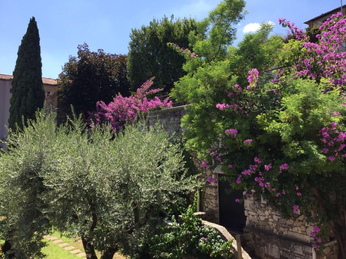דירות דסנזאנו דל גארדה Le Finestre Sugli Ulivi מראה חיצוני תמונה